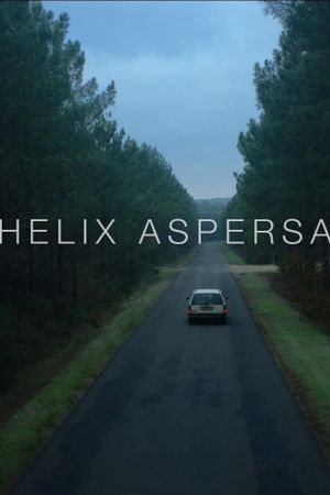 Helix Aspersa's poster