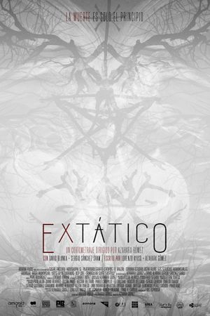 Extático's poster