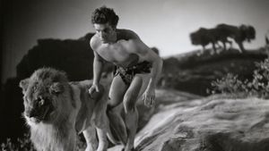 King of the Jungle's poster
