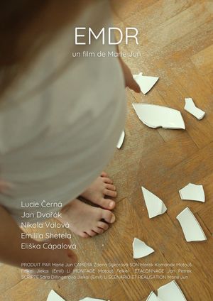EMDR's poster