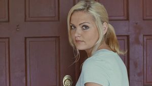 Real Cases of Shadow People: The Sarah McCormick Story's poster