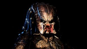 Predator's poster