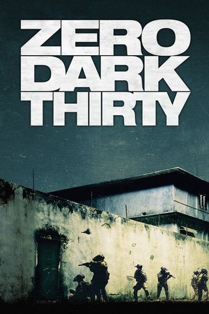 Zero Dark Thirty's poster