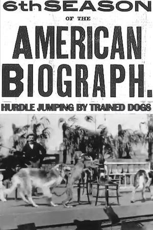 Hurdle Jumping; by Trained Dogs's poster
