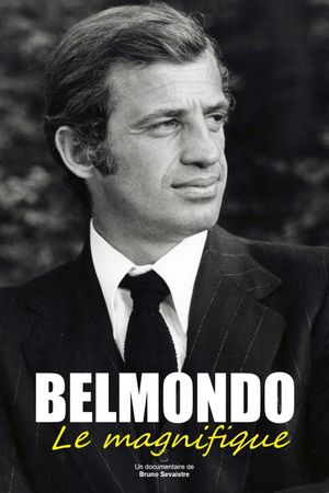 Belmondo, le magnifique's poster