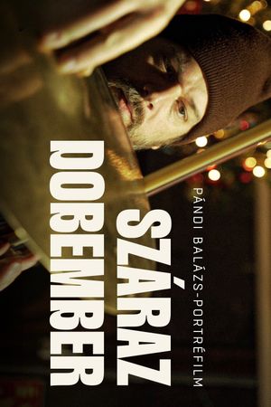 Száraz dobember's poster