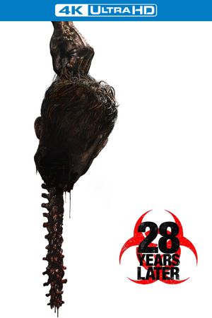 28 Years Later's poster