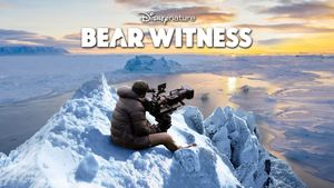 Bear Witness's poster