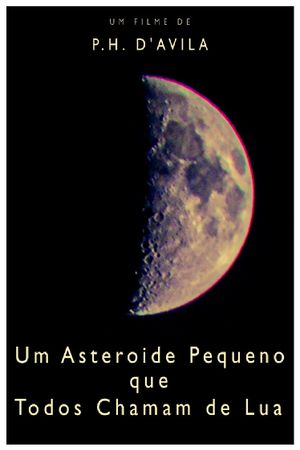 A Little Asteroid Called Moon's poster image