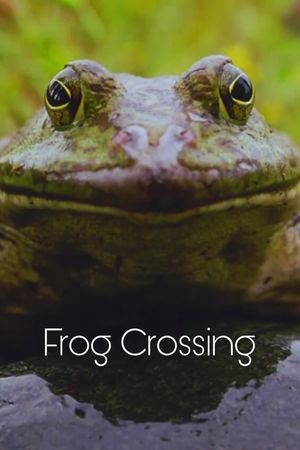 Frog Crossing's poster