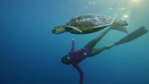 Ultimate Freedive: The Great Barrier Reef's poster