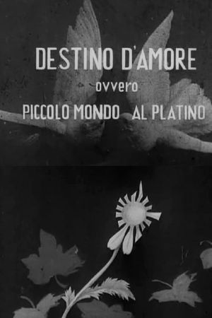 Destino d'amore's poster