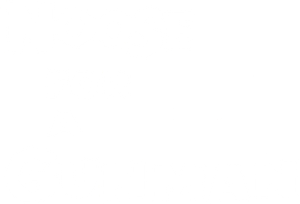Noose for a Gunman's poster