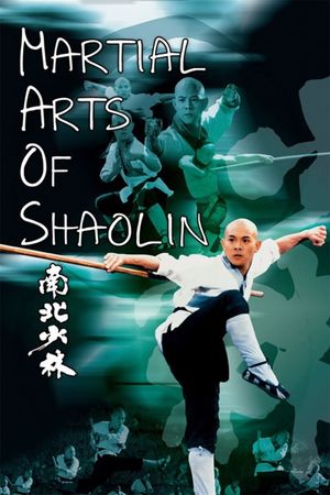 Martial Arts of Shaolin's poster