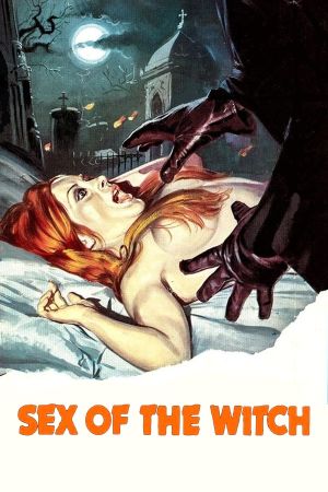 Sex of the Witch's poster