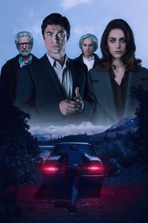The Invisible Witness's poster