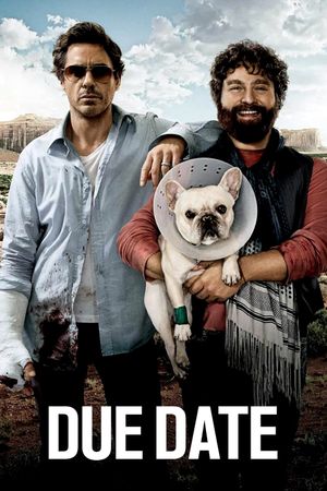 Due Date's poster
