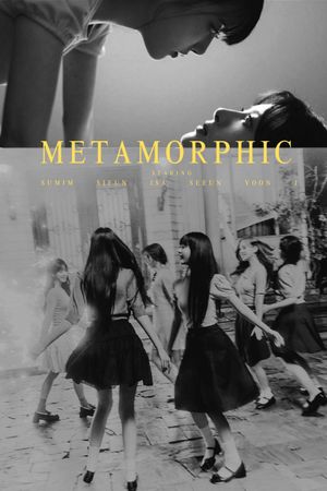 Metamorphic's poster