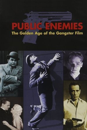 Public Enemies: The Golden Age of the Gangster Film's poster image