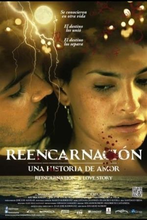 Reencarnación: Una historia de amor's poster image