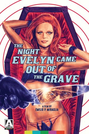 The Night Evelyn Came Out of the Grave's poster