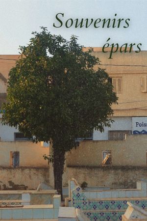 Souvenirs épars's poster