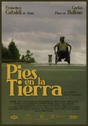 Pies en la tierra's poster