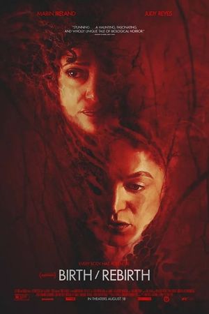Birth/Rebirth's poster