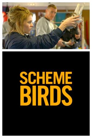 Scheme Birds's poster