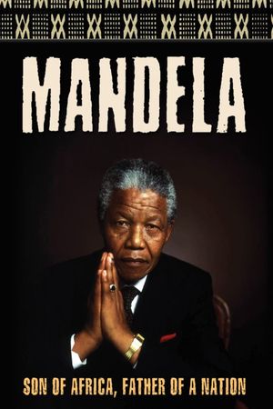 Mandela's poster