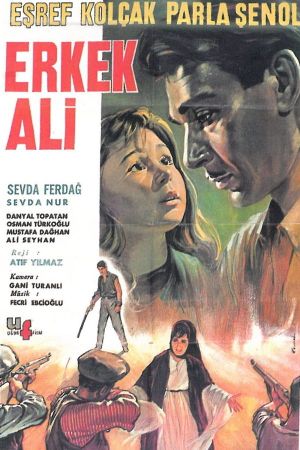 Erkek Ali's poster image