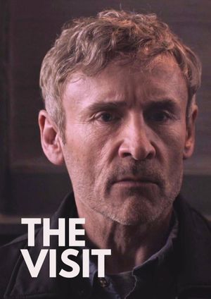 The Visit's poster