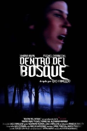 Dentro del bosque's poster