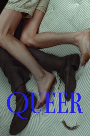 Queer's poster