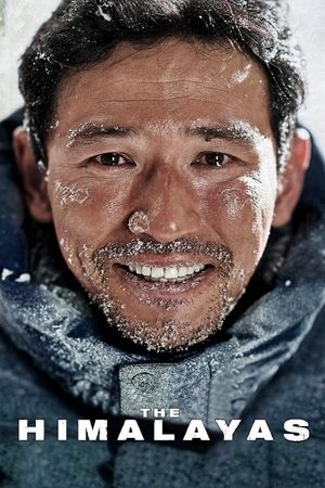 The Himalayas's poster