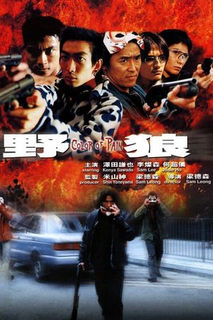 Color of Pain's poster