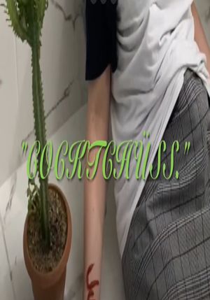 Cocktschüss.'s poster