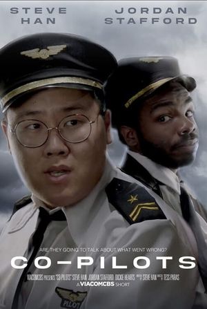 Co-Pilots's poster image