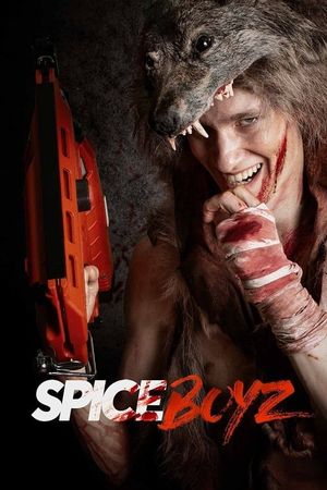 Spice Boyz's poster