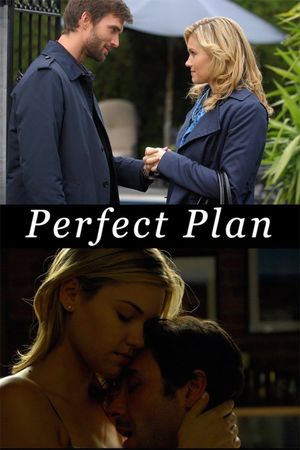 Perfect Plan's poster