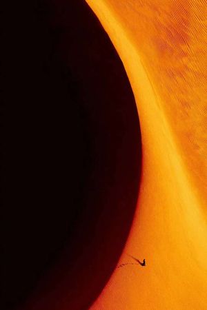 Dune: Part One's poster