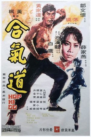Lady Kung Fu's poster