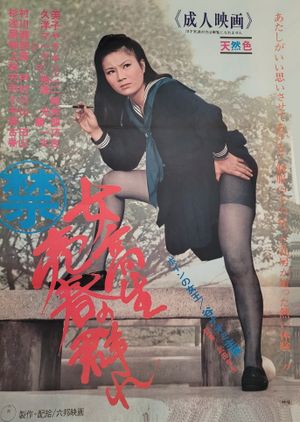 Jokôsei marukin baishun no mure's poster