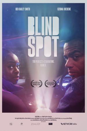 Blind Spot's poster