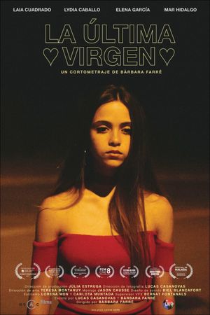 The Last Virgin's poster