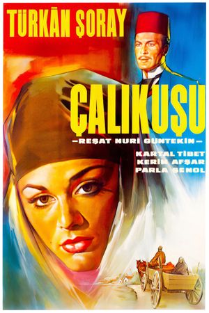 Çalikusu's poster