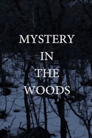 Mystery in the Woods's poster image