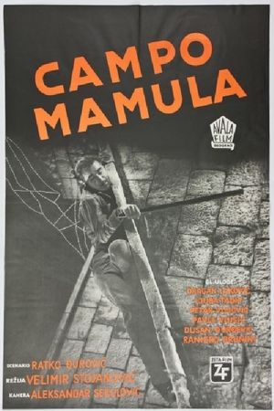 Mamula Camp's poster