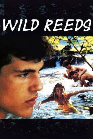 Wild Reeds's poster