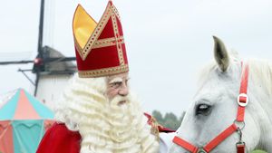 De grote Sinterklaasfilm's poster